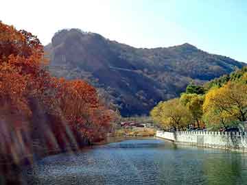 新澳天天开奖资料大全旅游团，河南锚杆